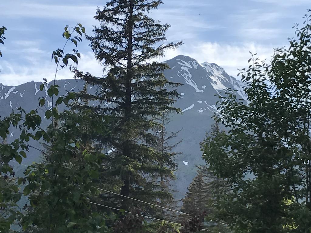 Resurrection River Rentals Seward Kültér fotó